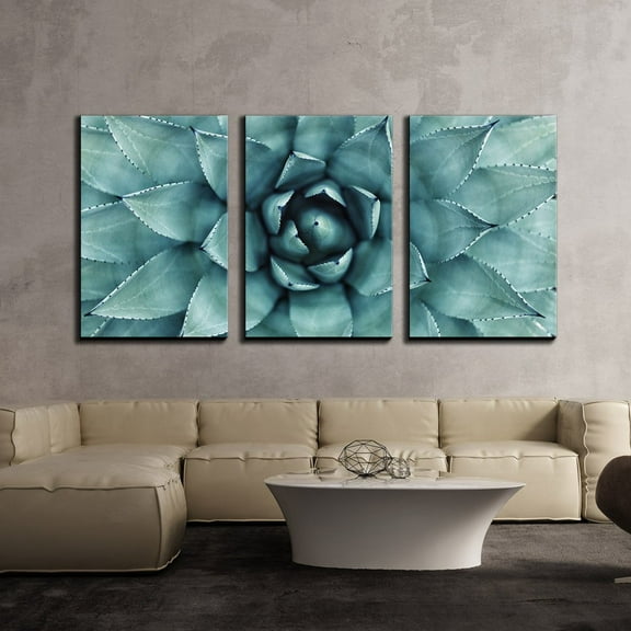wall26 - 3 Piece Canvas Wall Art - Sharp Pointed Agave Plant Leaves - Modern Home Art Stretched and Framed Ready to Hang - 24"x36"x3 Panels