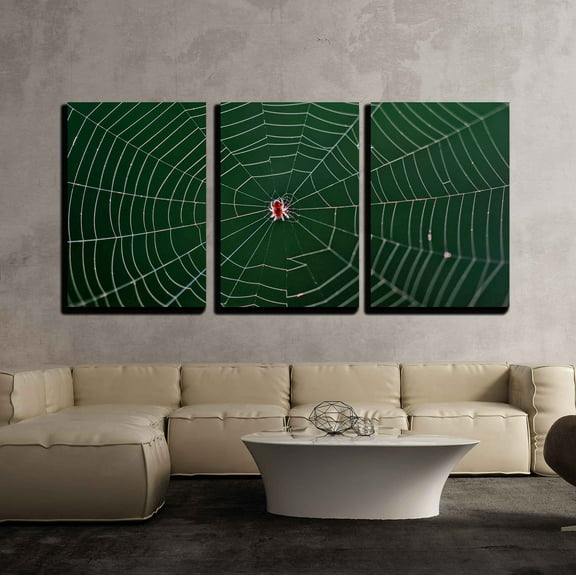 wall26 - 3 Piece Canvas Wall Art - Small Spider in Center of Its Web - Modern Home Art Stretched and Framed Ready to Hang - 16"x24"x3 Panels