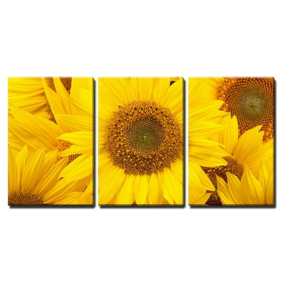 wall26 - 3 Piece Canvas Wall Art - Sunflowers Closeup - Modern Home Art Stretched and Framed Ready to Hang - 24"x36"x3 Panels
