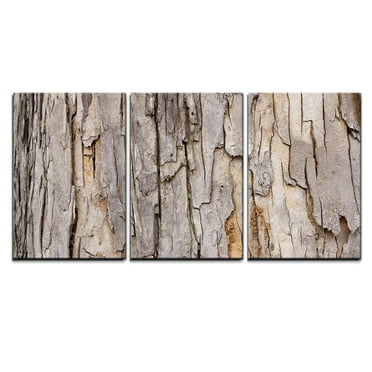 wall26 - 3 Piece Canvas Wall Art - Tree Bark - Modern Home Art Stretched and Framed Ready to Hang - 24&quot;x36&quot;x3 Panels