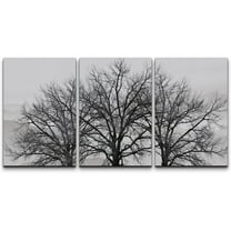 wall26 - 3 Piece Canvas Wall Art - Trees in Winter Gray Landscape - Modern Home Art Stretched and Framed Ready to Hang - 16"x24"x3 Panels