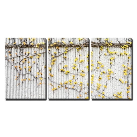 wall26 - 3 Piece Canvas Wall Art - Vines with Yellow Leaves on The Texture Wall - Modern Home Art Stretched and Framed Ready to Hang - 16"x24"x3 Panels