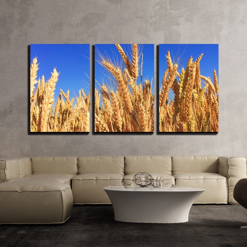 wall26 - 3 Piece Canvas Wall Art - Wheat Field Under Blue Sky - Modern ...