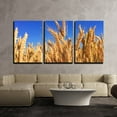 thumbnail image 1 of wall26 - 3 Piece Canvas Wall Art - Wheat Field Under Blue Sky - Modern Home Art Stretched and Framed Ready to Hang - 24"x36"x3 Panels, 1 of 4
