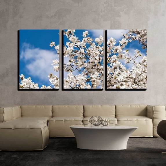 wall26 - 3 Piece Canvas Wall Art - White Magnolia Flowers in Spring - Modern Home Art Stretched and Framed Ready to Hang - 24"x36"x3 Panels