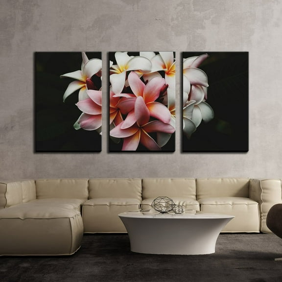 wall26 - 3 Piece Canvas Wall Art - White Pink Flowers in Black Background - Modern Home Art Stretched and Framed Ready to Hang - 24"x36"x3 Panels