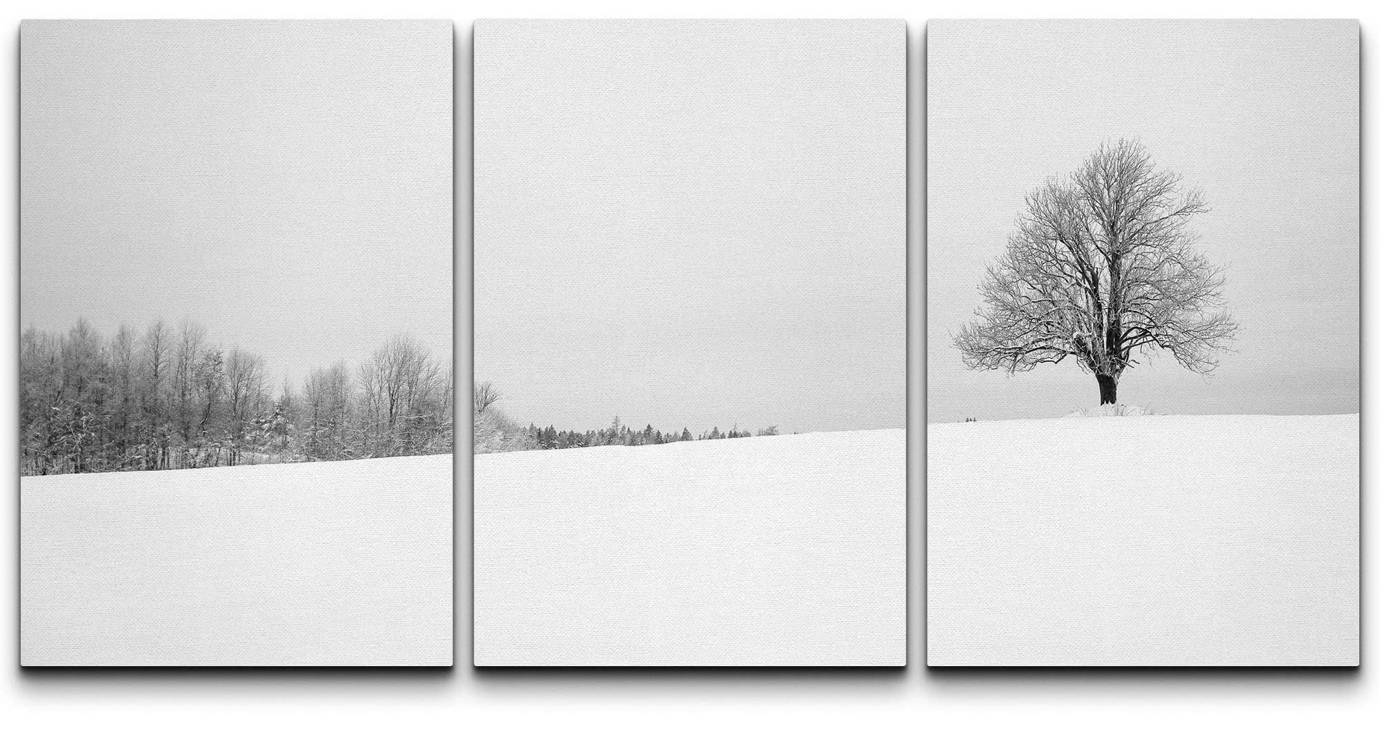 wall26 - 3 Piece Canvas Wall Art - Winter with Snow and a Lonely Tree ...