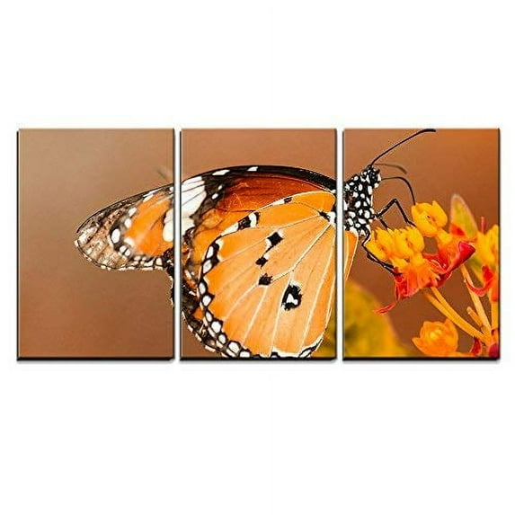 wall26 - 3 Piece Canvas Wall Art - a Butterfly Stay on The Flower - Modern Home Art Stretched and Framed Ready to Hang - 16"x24"x3 Panels