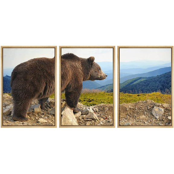 wall26 - 3 Piece Framed Canvas Wall Art - Big Brown Bear (Ursus Arctos) in The Mountain - Modern Home Art Stretched and Framed Ready to Hang - 24"x36"x3 NATURAL