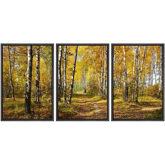wall26 - 3 Piece Framed Canvas Wall Art - Birch Grove in Autumn Forest - Modern Home Art Stretched and Framed Canvas Ready to Hang - 16"x24"x3 Black