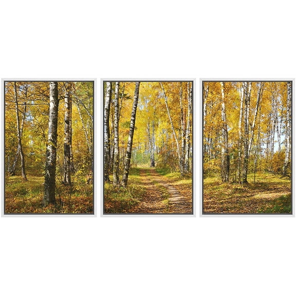 wall26 - 3 Piece Framed Canvas Wall Art - Birch Grove in Autumn Forest - Modern Home Art Stretched and Framed Canvas Ready to Hang - 16"x24"x3 White