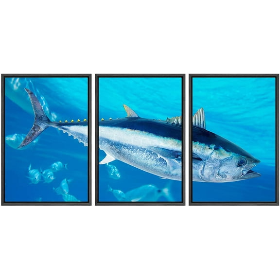 wall26 - 3 Piece Framed Canvas Wall Art - Bluefin Tuna Thunnus Thynnus Saltwater Fish in Mediterranean - Modern Home Art Stretched and Framed Ready to Hang - 16"x24"x3 BLACK