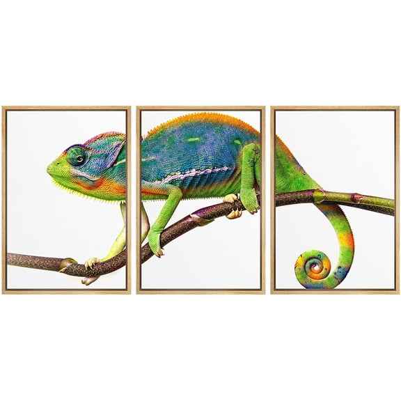 wall26 - 3 Piece Framed Canvas Wall Art - Chameleon - Modern Home Art Stretched and Framed Ready to Hang - 16"x24"x3 NATURAL