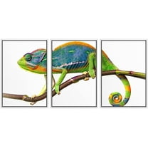wall26 - 3 Piece Framed Canvas Wall Art - Chameleon - Modern Home Art Stretched and Framed Ready to Hang - 24"x36"x3 WHITE