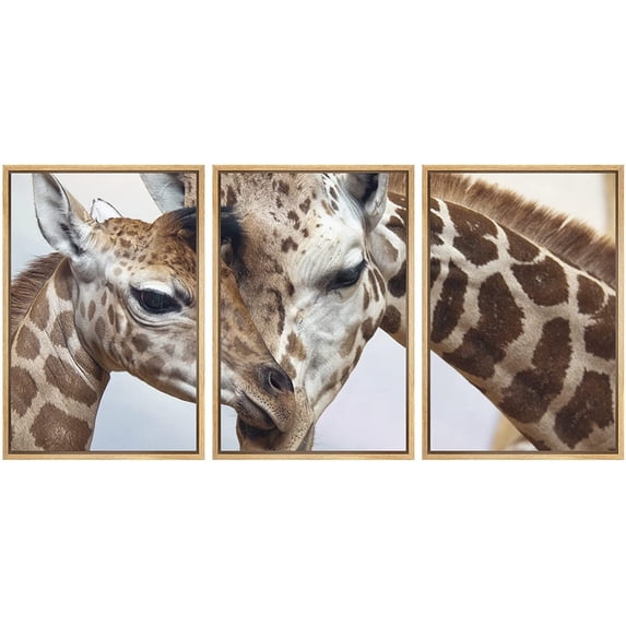 wall26 - 3 Piece Framed Canvas Wall Art - Closeup of a Mother Caring for Young - Modern Home Art Stretched and Framed Ready to Hang - 16"x24"x3 NATURAL