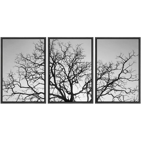 wall26 - 3 Piece Framed Canvas Wall Art - Dead Tree Branch, Black and White - Modern Home Art Stretched and Framed Ready to Hang - 16"x24"x3 Black