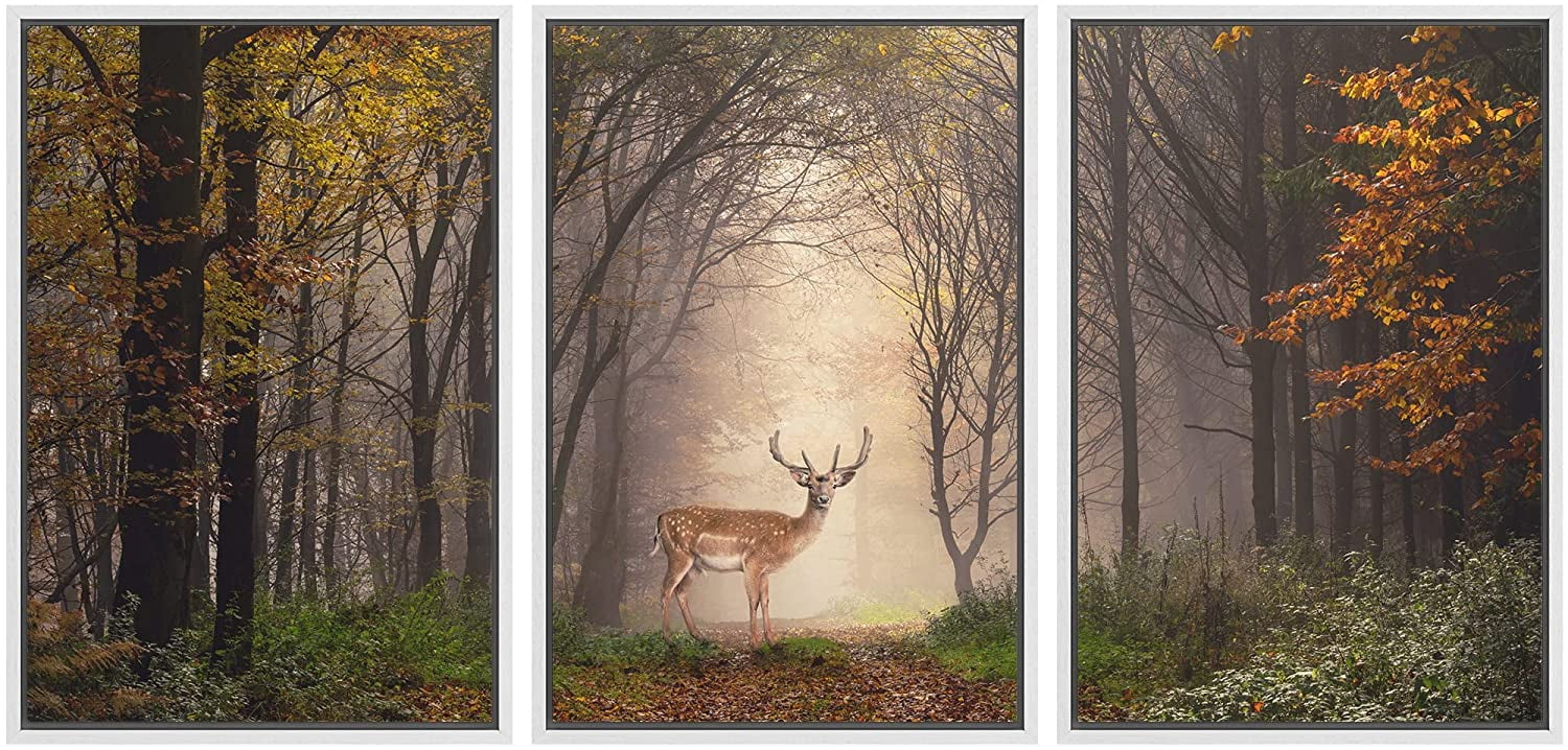 wall26 - 3 Piece Framed Canvas Wall Art - Fallow Deer Standing in a ...