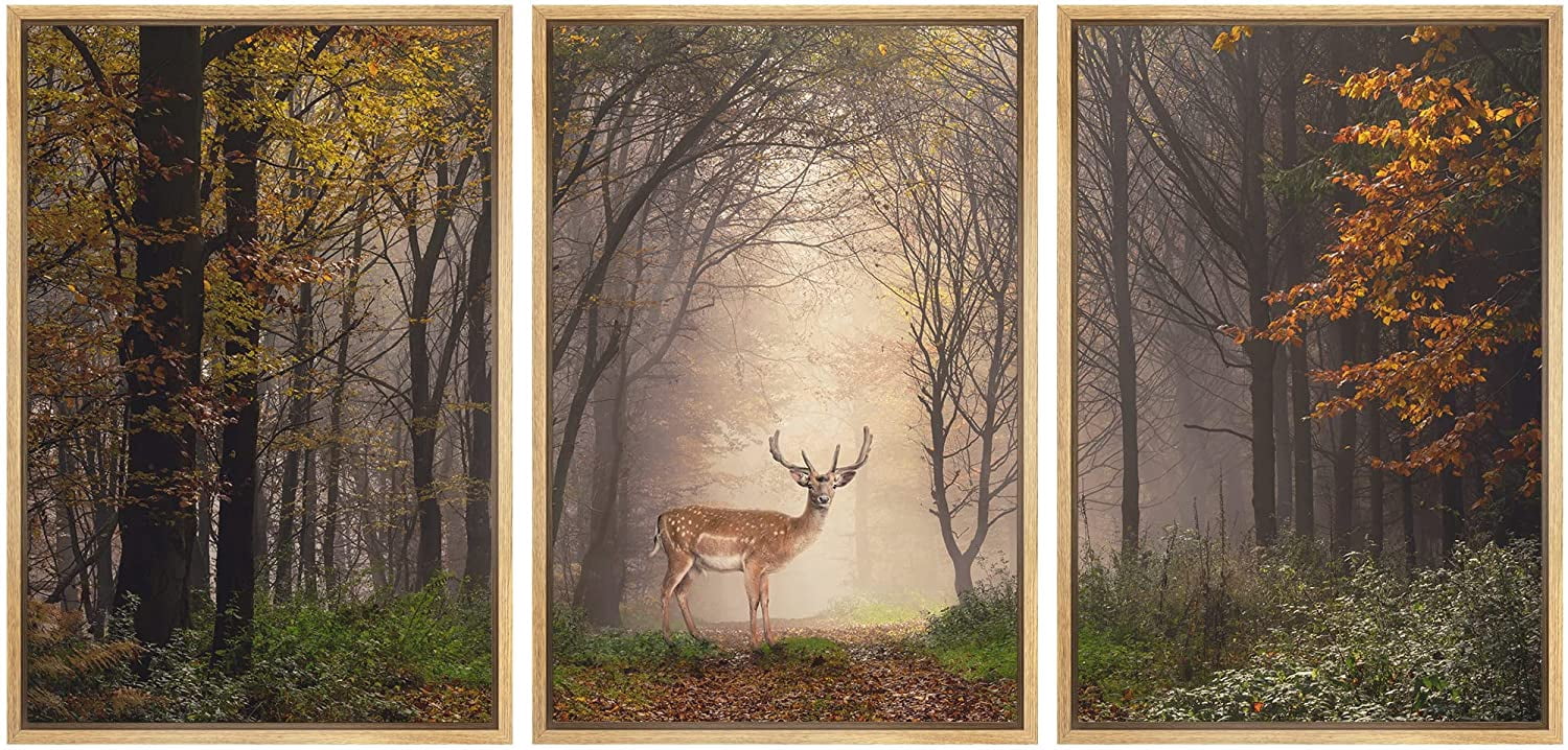 wall26 - 3 Piece Framed Canvas Wall Art - Fallow Deer Standing in a ...