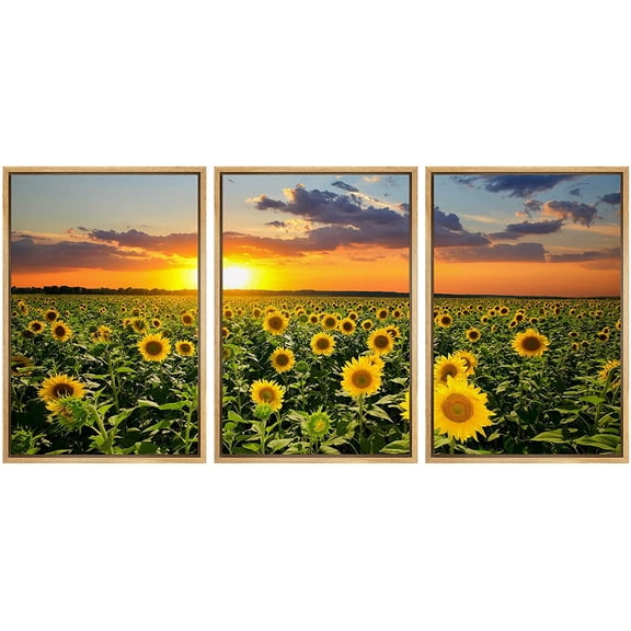 wall26 - 3 Piece Framed Canvas Wall Art - Field of Blooming Sunflowers on a Background Sunset - Modern Home Art Stretched and Framed Ready to Hang - 16"x24"x3 Natural
