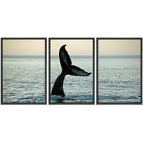 wall26 - 3 Piece Framed Canvas Wall Art - Fin of a Humpback Whale - Modern Home Art Stretched and Framed Ready to Hang - 24"x36"x3 BLACK