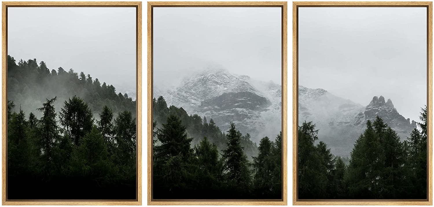 Natural Framed Geometric Landscape Canvas Print Set