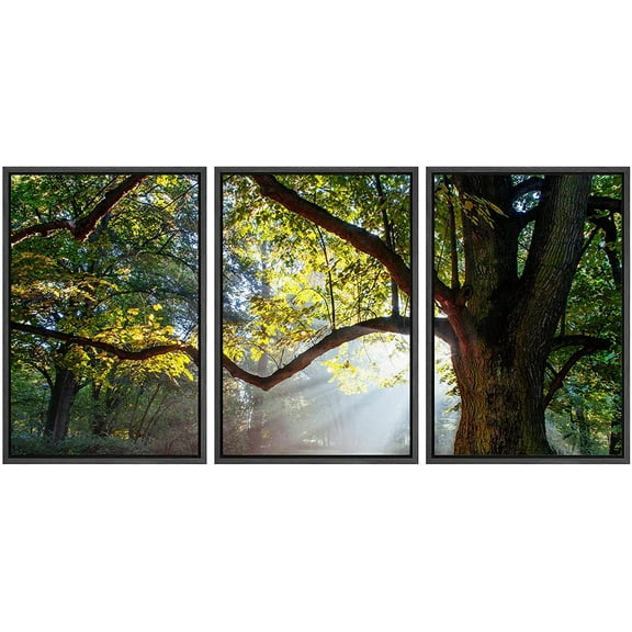 wall26 - 3 Piece Framed Canvas Wall Art - Mighty Oak Tree - Modern Home Art Stretched and Framed Ready to Hang - 16"x24"x3 Black
