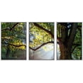 thumbnail image 1 of wall26 - 3 Piece Framed Canvas Wall Art - Mighty Oak Tree - Modern Home Art Stretched and Framed Ready to Hang - 24"x36"x3 White, 1 of 5