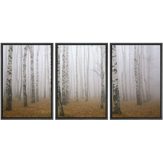 wall26 - 3 Piece Framed Canvas Wall Art - Morning Mist in Autumn Birch Grove - Modern Home Art Stretched and Framed Ready to Hang - 24"x36"x3 Black