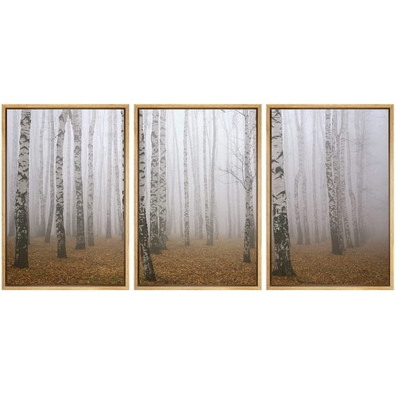 wall26 - 3 Piece Framed Canvas Wall Art - Morning Mist in Autumn Birch Grove - Modern Home Art Stretched and Framed Ready to Hang - 16"x24"x3 Natural