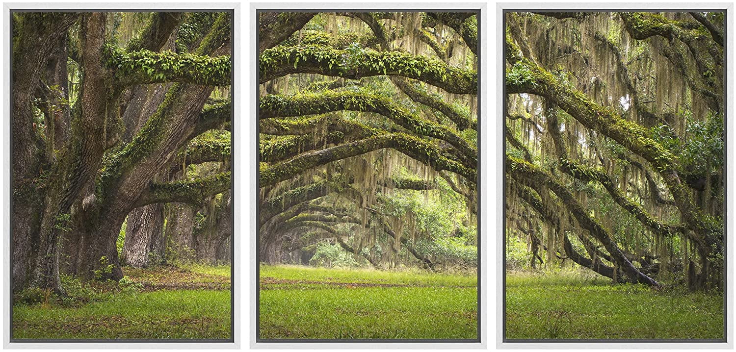 Charleston Plantation Oak Trees Landscape 3-Piece Canvas Wall Art