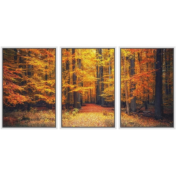 wall26 - 3 Piece Framed Canvas Wall Art - Pathway in The Autumn Park - Modern Home Art Stretched and Framed Canvas Ready to Hang - 16"x24"x3 White