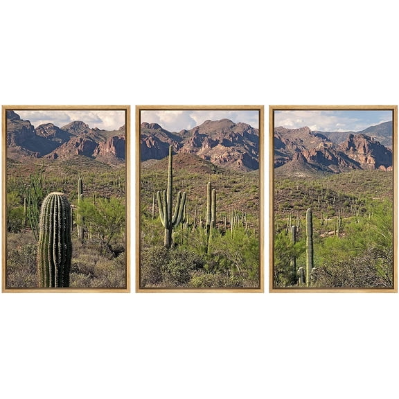 wall26 - 3 Piece Framed Canvas Wall Art - Saguaros in Sonoran Desert. - Modern Home Art Stretched and Framed Ready to Hang - 16"x24"x3 NATURAL