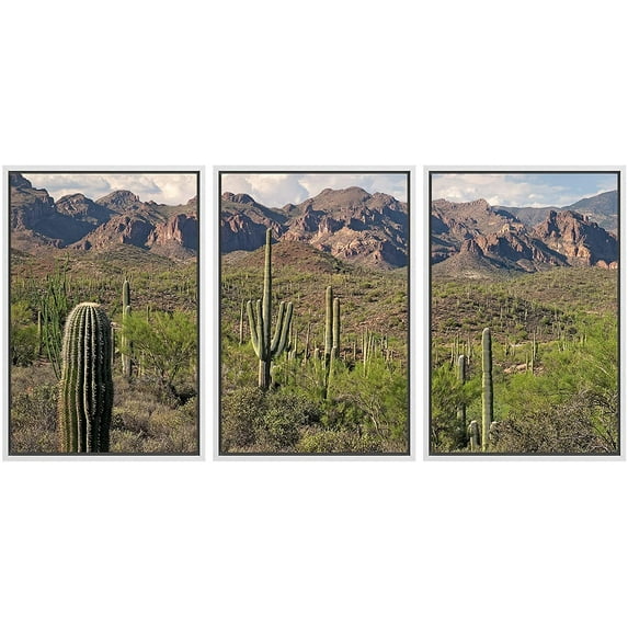 wall26 - 3 Piece Framed Canvas Wall Art - Saguaros in Sonoran Desert. - Modern Home Art Stretched and Framed Ready to Hang - 24"x36"x3 WHITE