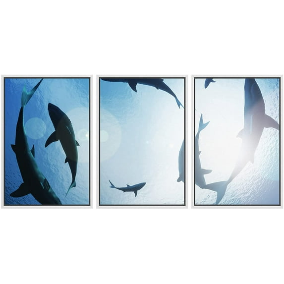 wall26 - 3 Piece Framed Canvas Wall Art - School of Sharks Circling from Above - Modern Home Art Stretched and Framed Ready to Hang - 16"x24"x3 WHITE