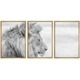 thumbnail image 1 of wall26 - 3 Piece Framed Canvas Wall Art - Side Profile of a Lion in Black and White in The Kruger National Park, South Africa. - Modern Home Art Stretched and Framed Ready to Hang - 16"x24", 1 of 5