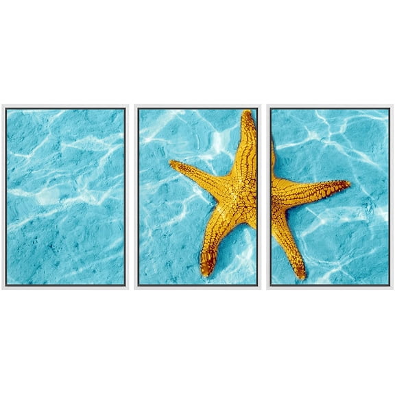 wall26 - 3 Piece Framed Canvas Wall Art - Starfish in Blue Water with Light Reflection. - Modern Home Art Stretched and Framed Ready to Hang - 16"x24"x3 WHITE