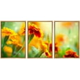 thumbnail image 1 of wall26 - 3 Piece Framed Canvas Wall Art - Tagetes Marigold Flower Autumn Flowers Background - Modern Home Art Stretched and Framed Ready to Hang - 16"x24"x3 Natural, 1 of 5