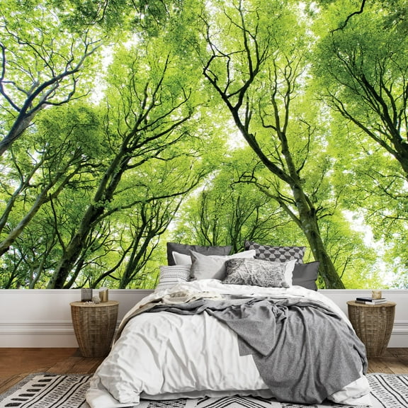 wall26 - A Gazing View into The Upper Branches of a Tree Forest - Wall Mural, Removable Sticker, Home Decor - 66x96 inches