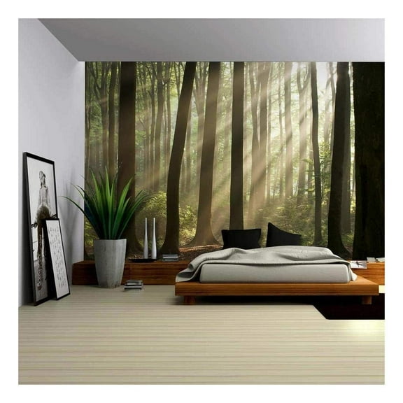 wall26 - A Landscape Mural of The Sun Peaking Through The Trees in a Forest - Wall Mural, Removable Sticker, Home Decor - 66x96 inches