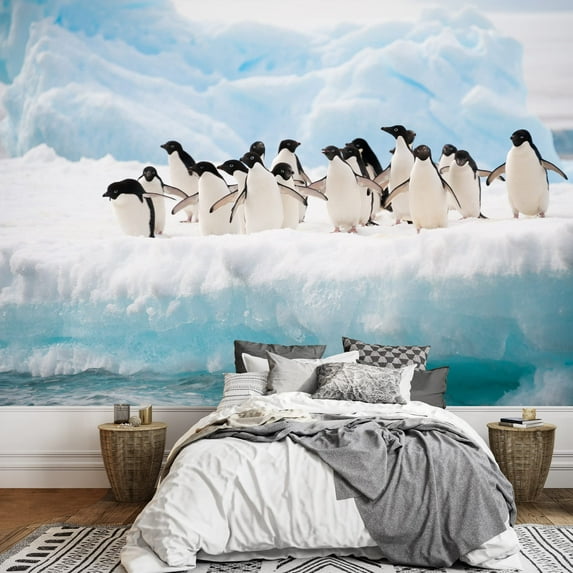 wall26 - Adelie Penguins Colony on The Iceberg Antarctica - Removable Wall Mural | Self-Adhesive Large Wallpaper - 100x144 inches