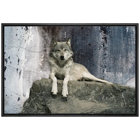 wall26 - Animal Theme Framed Canvas Wall Art - A Wolf Laying on a Boulder - Giclee Print Gallery Wrap | Modern Home Art Stretched &amp; Ready to Hang - 24"x36" Black