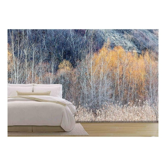 wall26 - Background Nature Landscape of Bare Trees and Grasses in Winter Ravine - Removable Wall Mural | Self-Adhesive Large Wallpaper - 100x144 inches