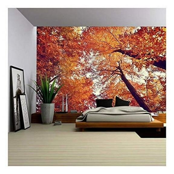 wall26 - Beautiful Autumn Fall Forest Scene - Canvas Art Wall Decor - 100 inchx144 inch