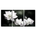 thumbnail image 1 of wall26 - Beautiful Lotus Background - Canvas Art Wall Art - 16"x24"x3 Panels, 1 of 3