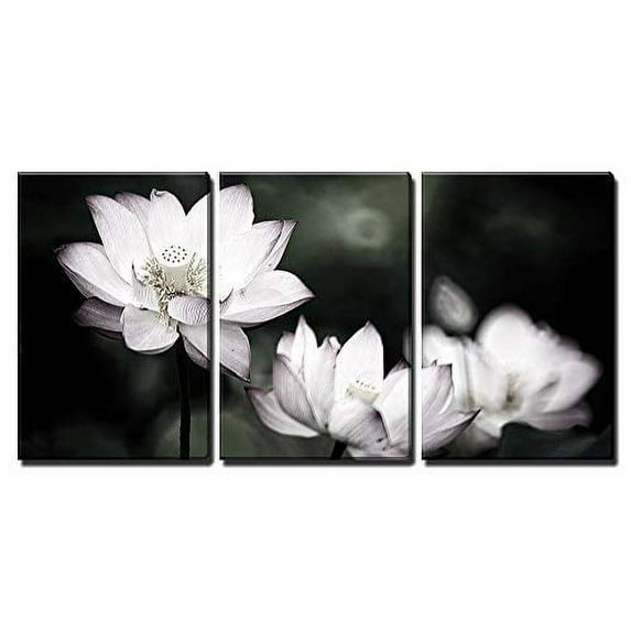 wall26 - Beautiful Lotus Background - Canvas Art Wall Art - 16"x24"x3 Panels