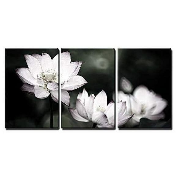 wall26 - Beautiful Lotus Background - Canvas Art Wall Art - 24"x36"x3 Panels