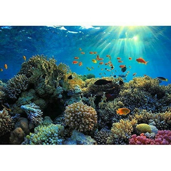 wall26 - Beautiful View of Sea Life - Removable Wall Mural | Self-Adhesive Large Wallpaper - 66x96 inches