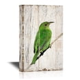 thumbnail image 1 of wall26 - Birds and Poultry Canvas Wall Art - Green Bird Standing on The Tree Branch - Vintage Wood Style Giclee Print Gallery Wrap Modern Home Art | Ready to Hang - 16x24 inches, 1 of 3