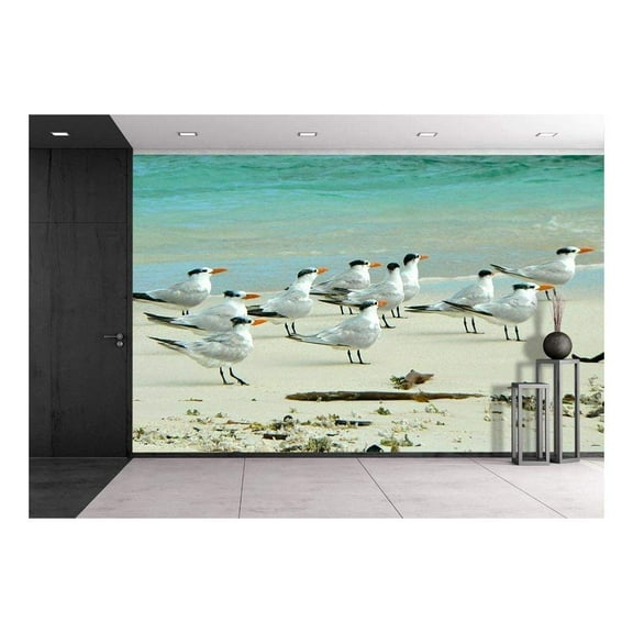 wall26 - Birds in The Beach in Los Roques - Removable Wall Mural | Self-Adhesive Large Wallpaper - 66x96 inches