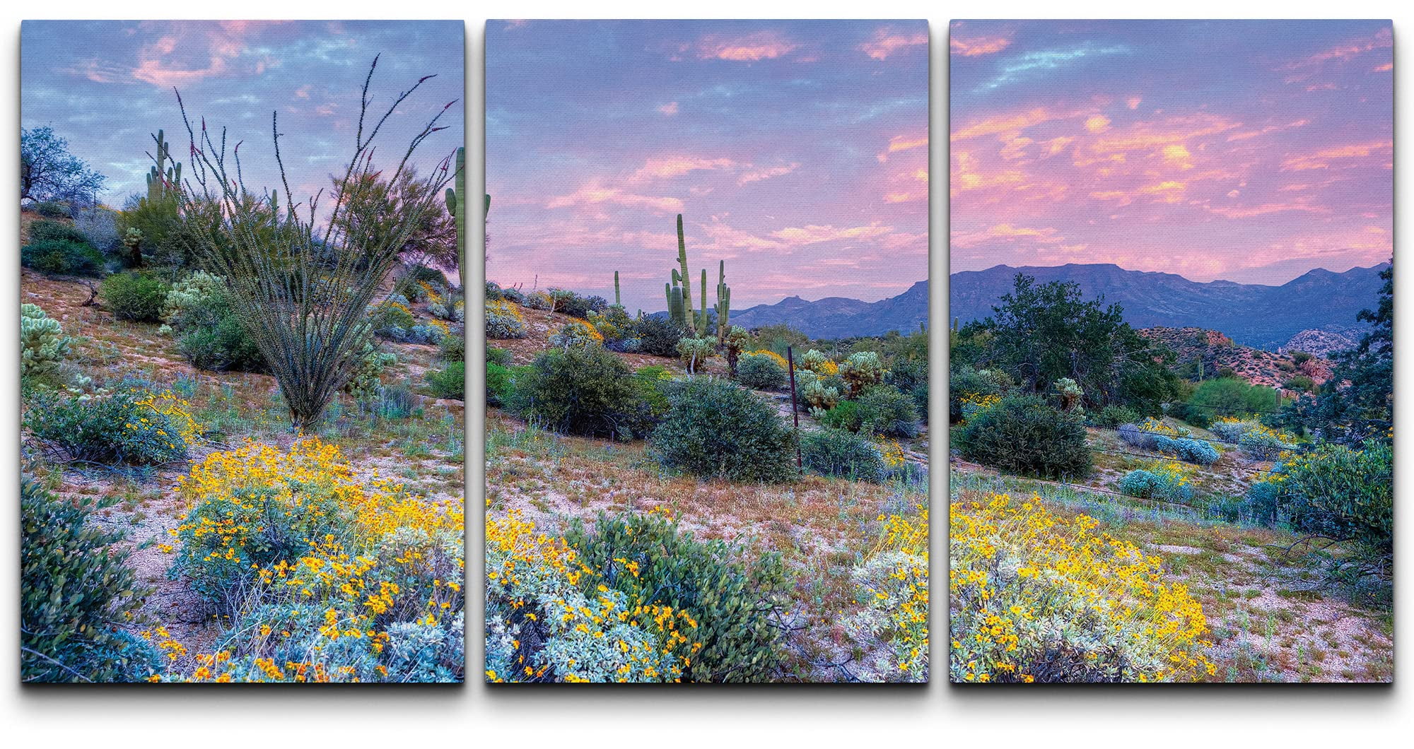 Blooming Desert Sunset Canvas Art in 24" x 16" Panels